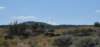 dsc_6037_fs_small.jpg