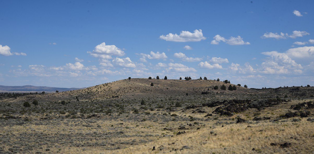 dsc_6043_fs.jpg