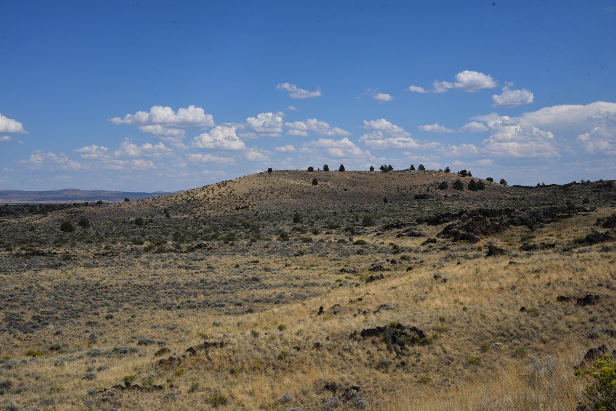 dsc_6056_fs.jpg