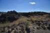 dsc_6100_fs_small.jpg