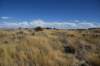 dsc_6108_fs_small.jpg