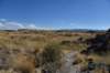dsc_6110_fs_small.jpg