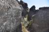 dsc_6114_fs_small.jpg