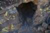 dsc_6115_fs_small.jpg