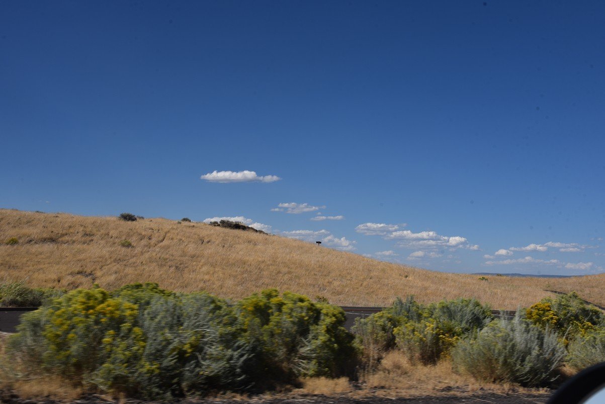 dsc_6128_fs.jpg
