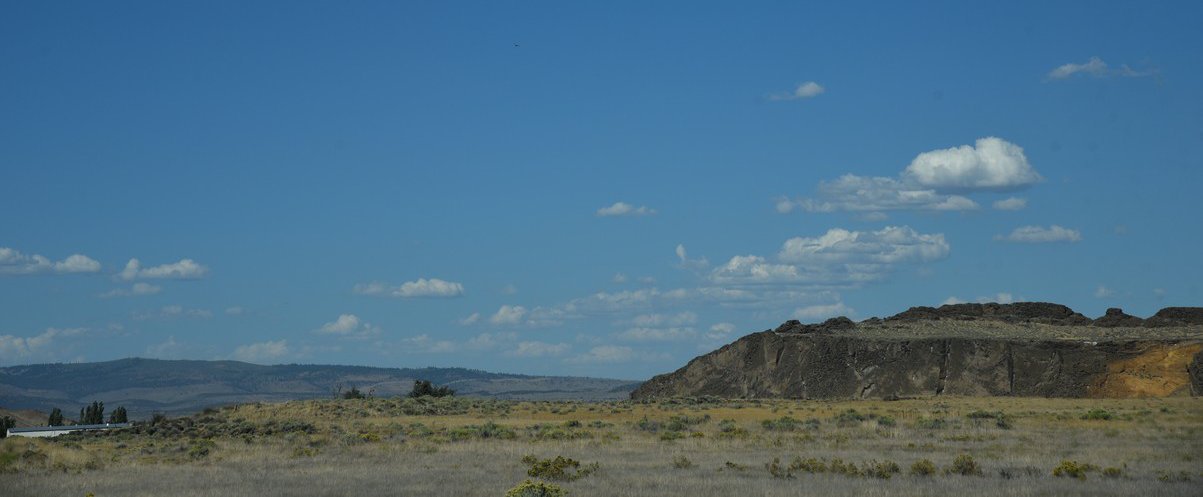 dsc_6145_fs.jpg