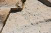 dsc_6212_fs_small.jpg