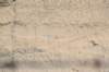 dsc_6218_fs_small.jpg