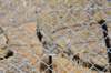 dsc_6258_fs_small.jpg