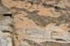 dsc_6260_fs_small.jpg