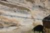 dsc_6261_fs_small.jpg