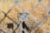 dsc_6276_fs_small.jpg