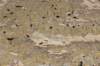 dsc_6290_fs_small.jpg