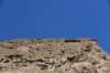 dsc_6293_fs_small.jpg