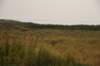 dsc_6363_fs_small.jpg