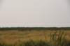 dsc_6367_fs_small.jpg