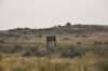 dsc_6400_fs_small.jpg