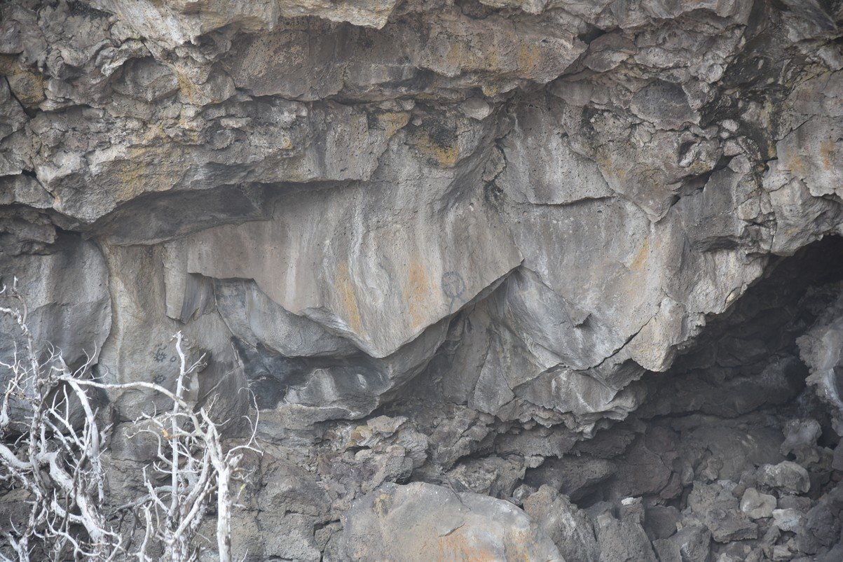 dsc_6577_fs.jpg