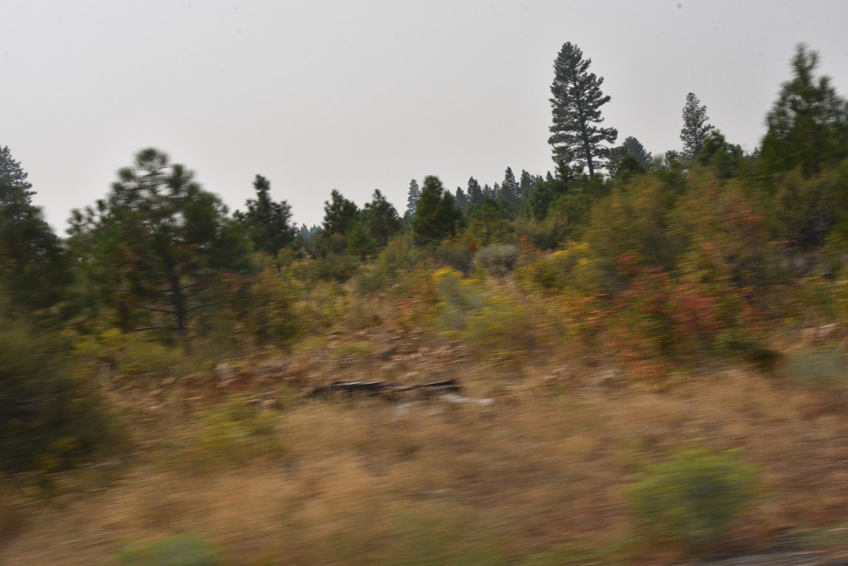 dsc_6643_fs.jpg
