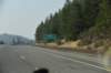 dsc_6788weed_small.jpg