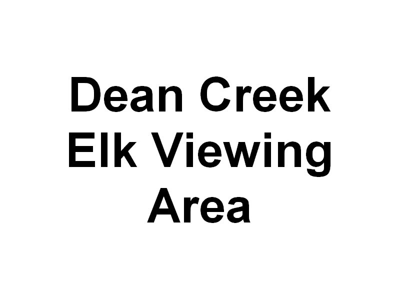 deancreekelkviewingarea.jpg