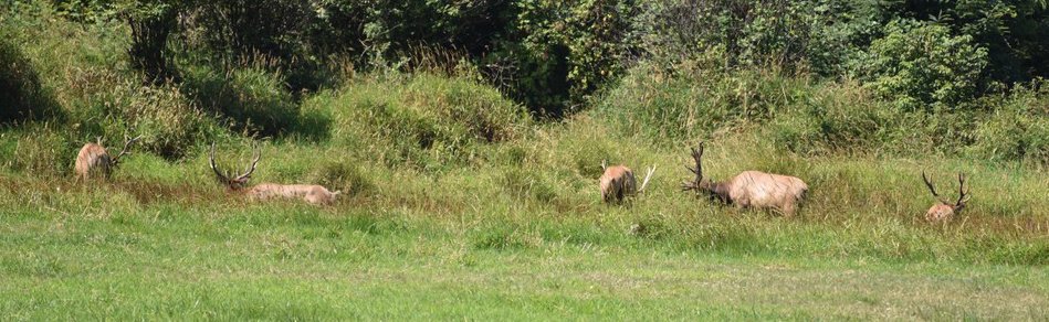dsc_2040_fs.jpg