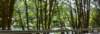 dsc_2061_fs_small.jpg