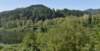 dsc_2071_fs_small.jpg