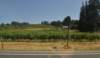 dsc_2094_fs_small.jpg