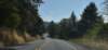 dsc_2095elkton_small.jpg