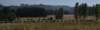 dsc_2110_fs_small.jpg