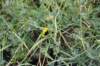 dsc_2141_fs_small.jpg