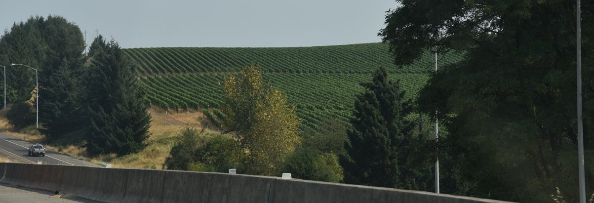 dsc_2264_fs.jpg