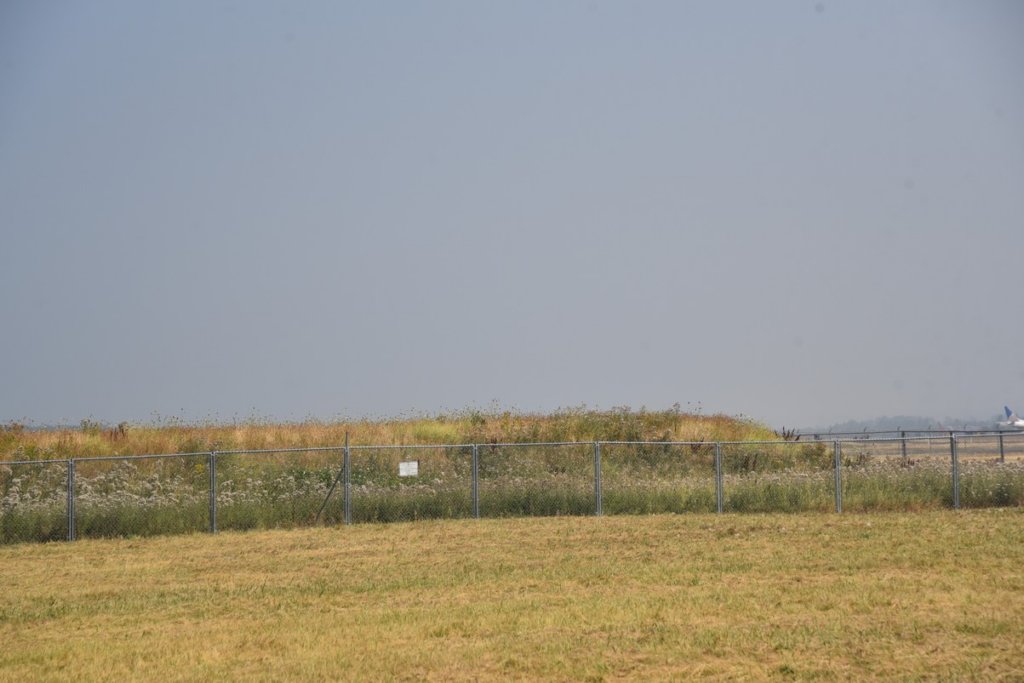 dsc_2370_fs.jpg