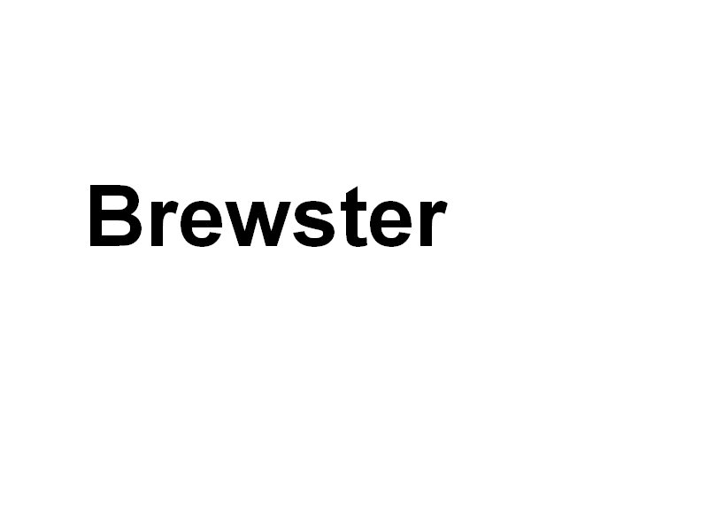 brewsterwashington.jpg