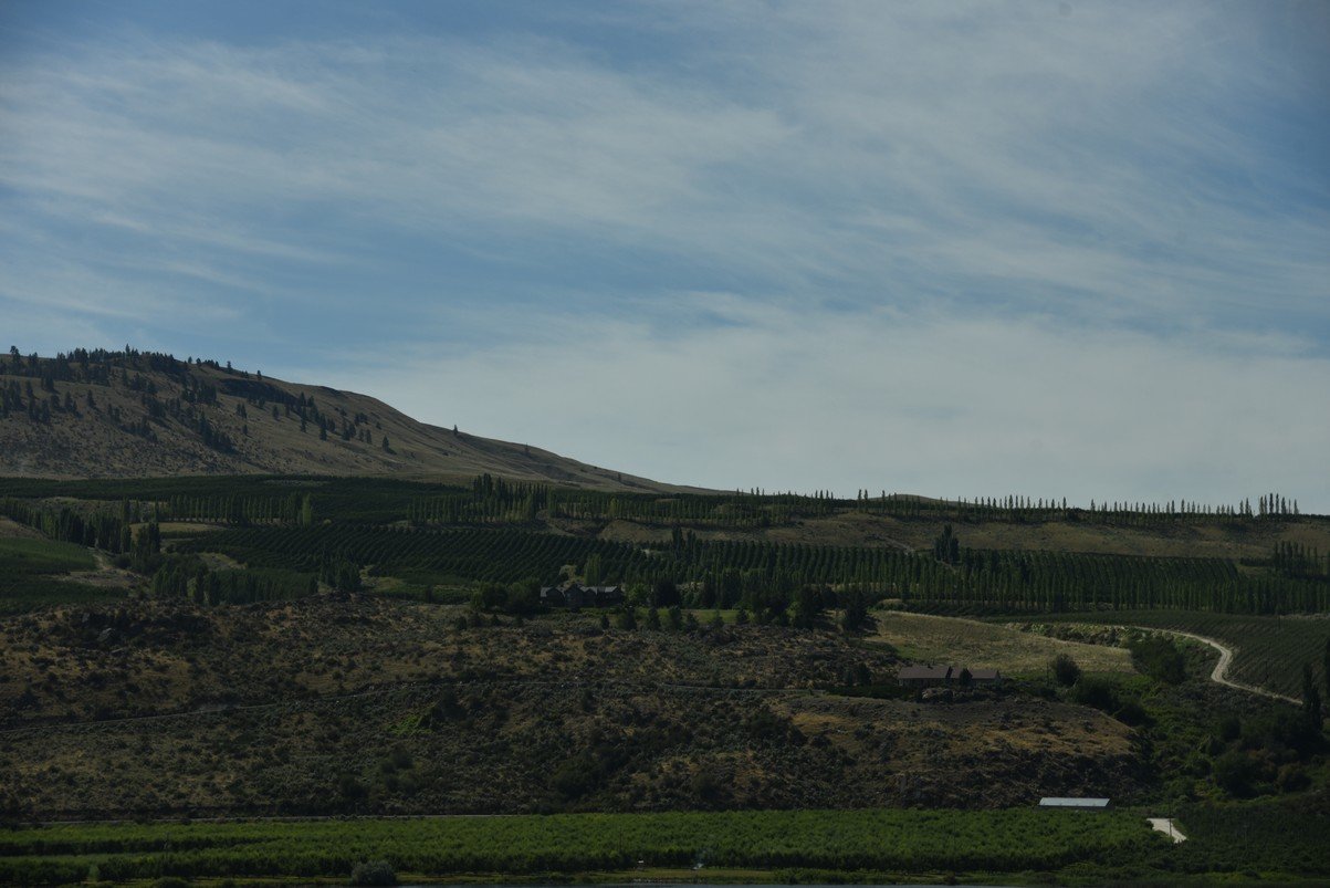 dsc_7437_fs.jpg