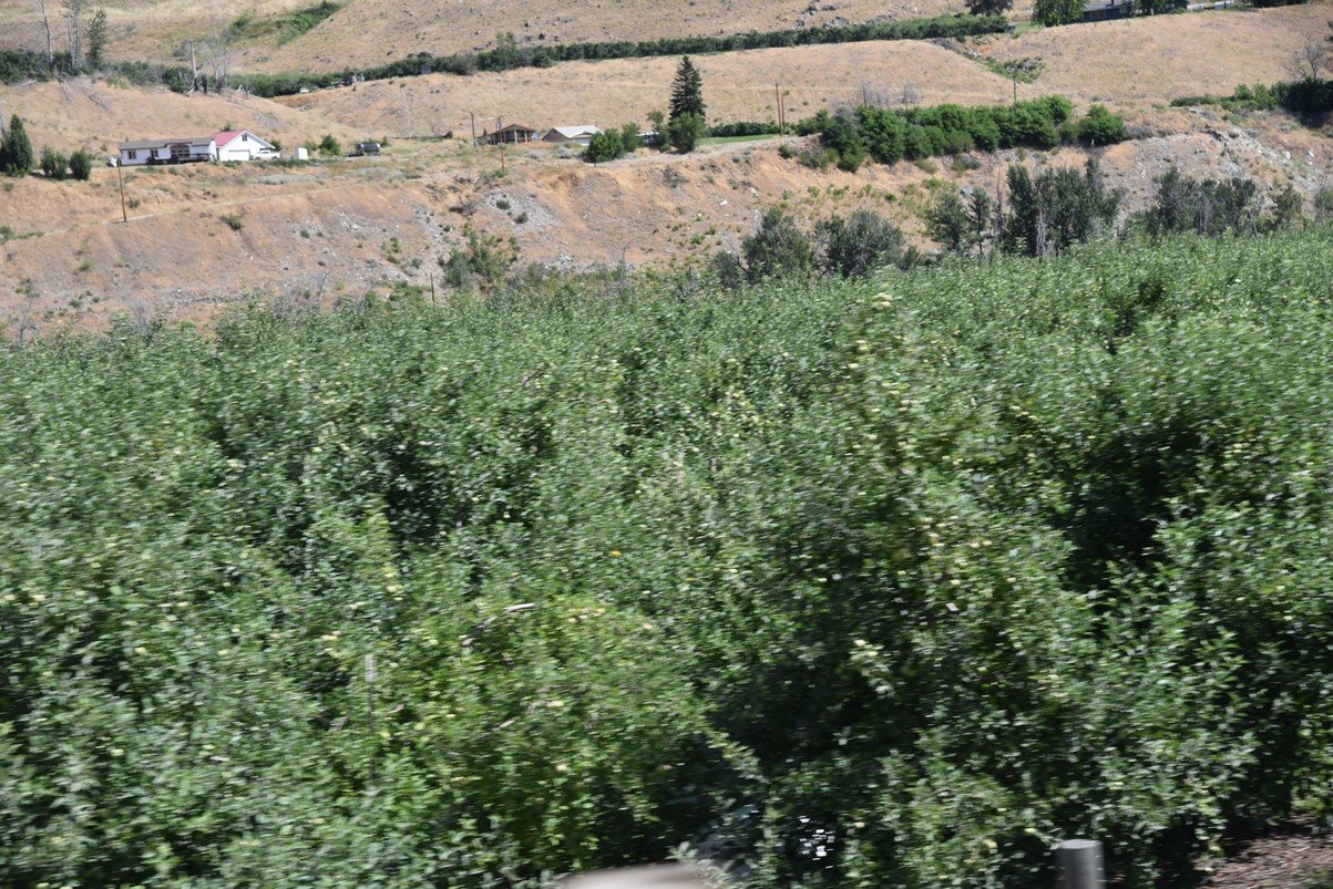 dsc_7457_fs.jpg