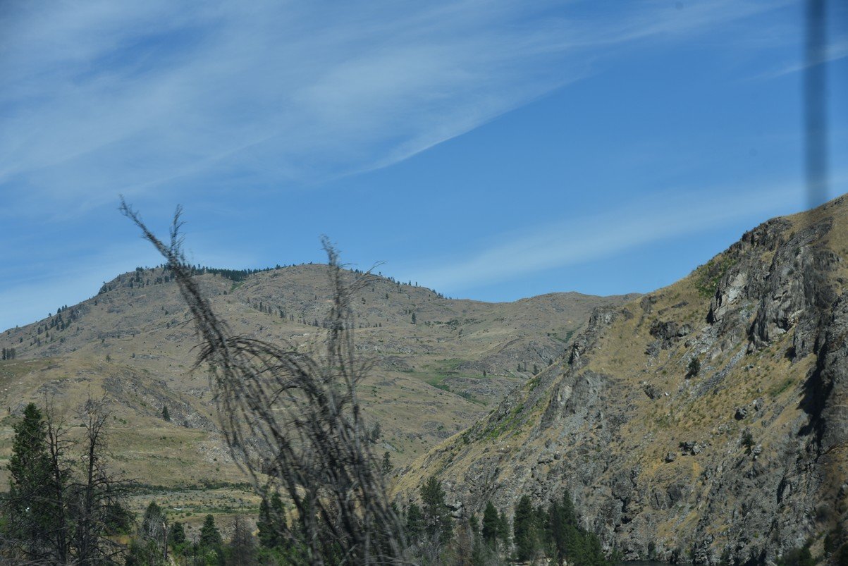 dsc_7464_fs.jpg