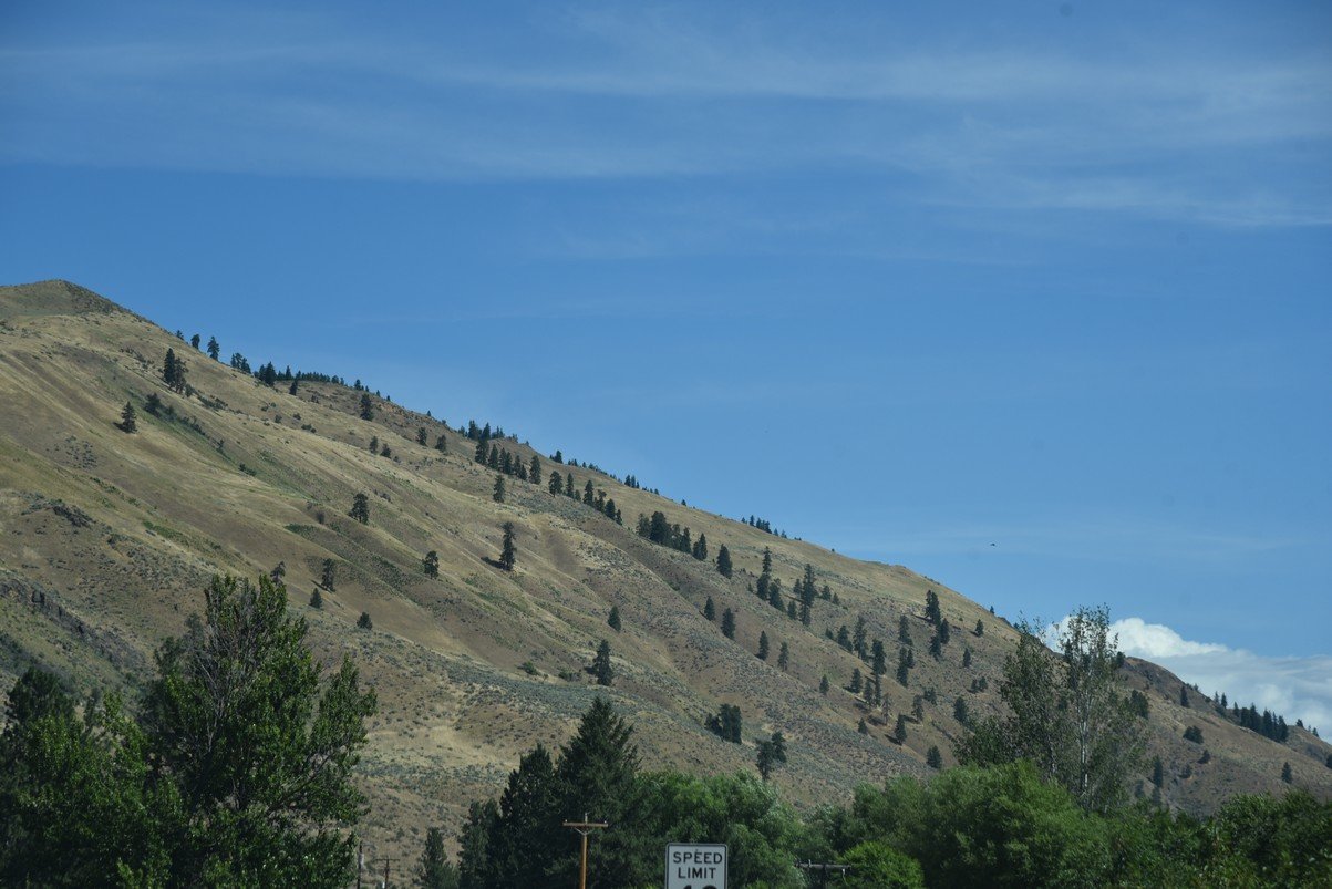 dsc_7472_fs.jpg