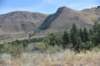dsc_7495_fs_small.jpg