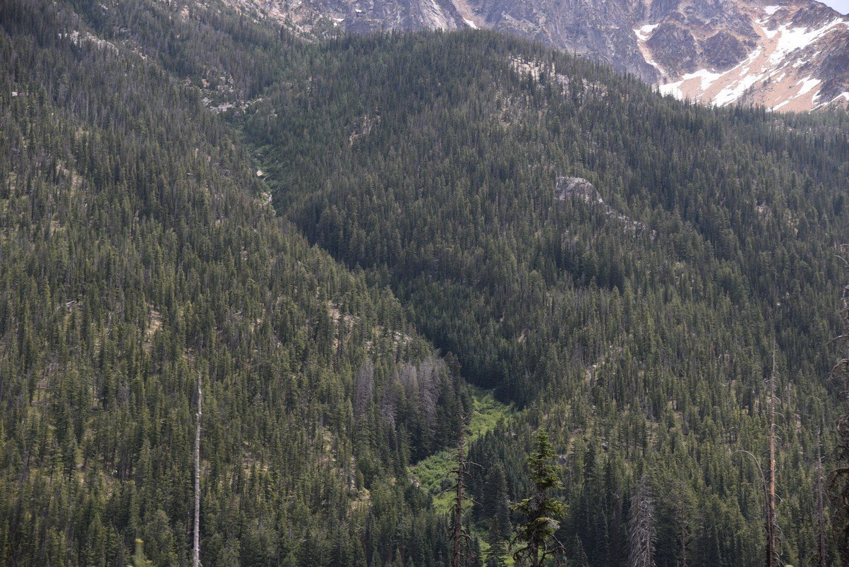 dsc_7609_fs.jpg