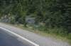 dsc_7667_fs_small.jpg