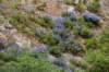dsc_7668_fs_small.jpg