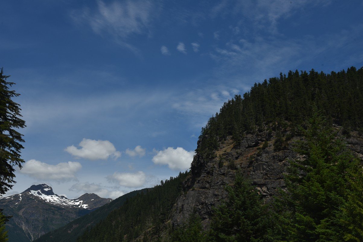 dsc_7686_fs.jpg