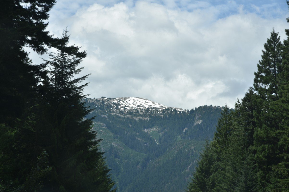 dsc_7697_fs.jpg