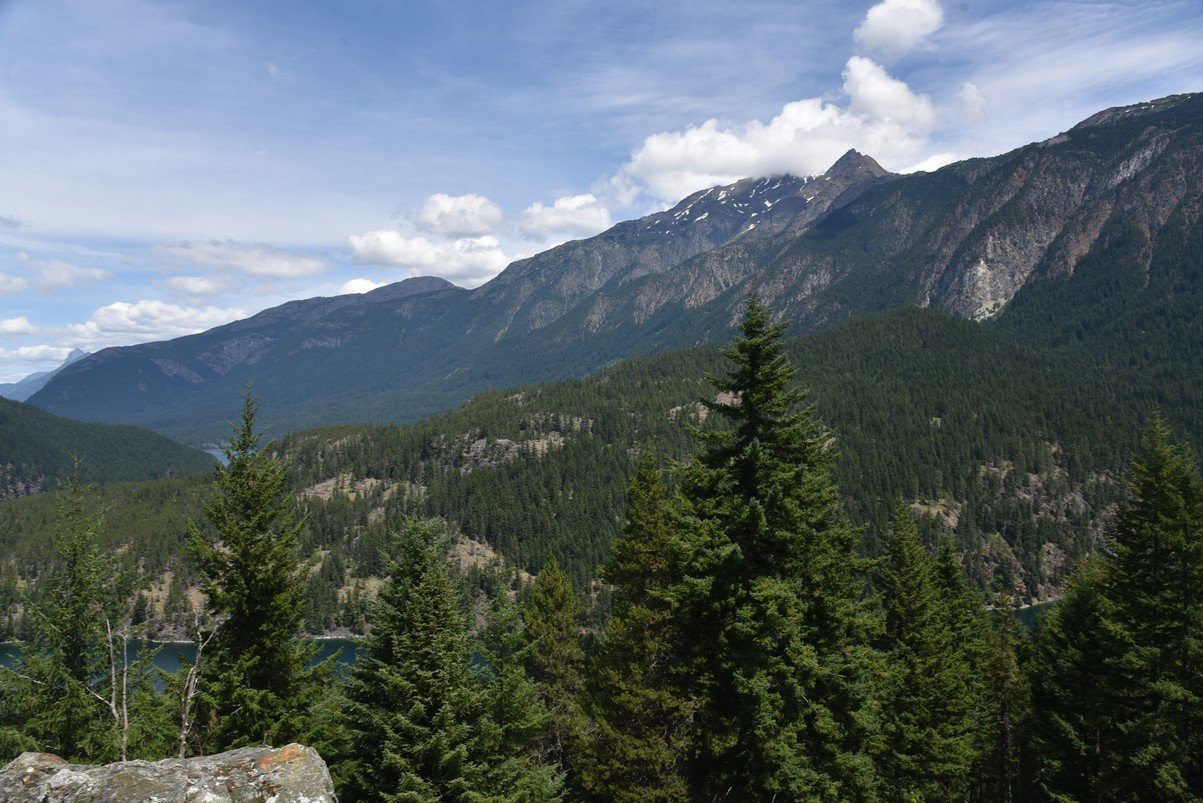 dsc_7712_fs.jpg