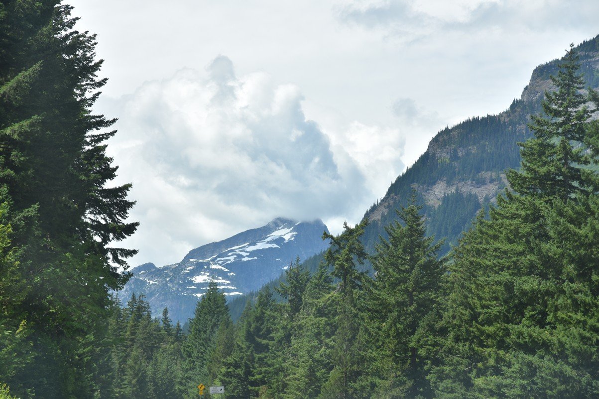 dsc_7718_fs.jpg