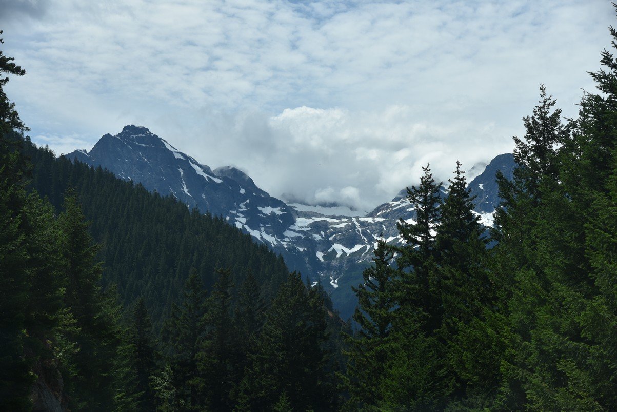 dsc_7724_fs.jpg