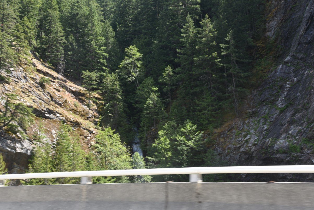 dsc_7730_fs.jpg