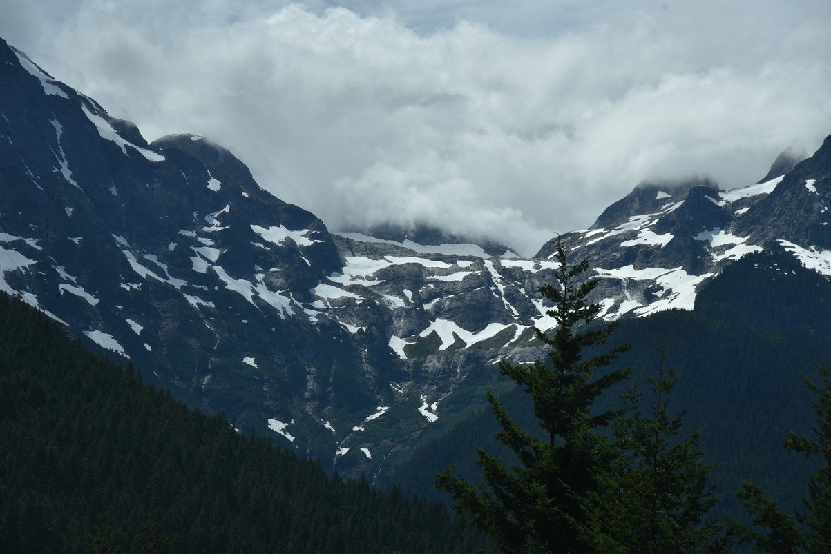dsc_7733_fs.jpg
